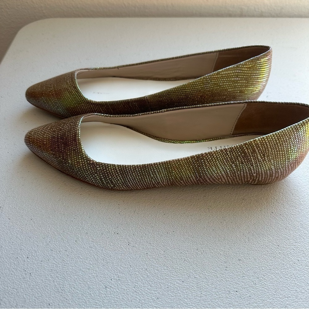 Ron White women's pointed-toe ballet
